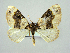  ( - RCIM 0107)  @14 [ ] Copyright (2010) Iva Mihoci Croatian Natural History Museum