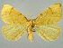  ( - RCIM 0110)  @14 [ ] Copyright (2010) Iva Mihoci Croatian Natural History Museum