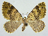  ( - RCIM 0119)  @14 [ ] Copyright (2010) Iva Mihoci Croatian Natural History Museum