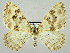  ( - RCIM 0144)  @14 [ ] Copyright (2010) Iva Mihoci Croatian Natural History Museum
