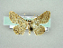  ( - RCIM 0166)  @13 [ ] Copyright (2010) Iva Mihoci Croatian Natural History Museum