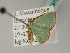  ( - BC ZSM Lep 43975)  @13 [ ] CreativeCommons - Attribution Non-Commercial Share-Alike (2010) Axel Hausmann/Bavarian State Collection of Zoology (ZSM) SNSB, Zoologische Staatssammlung Muenchen