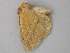  ( - BC ZSM Lep 49023)  @12 [ ] CreativeCommons - Attribution Non-Commercial Share-Alike (2010) Axel Hausmann/Bavarian State Collection of Zoology (ZSM) SNSB, Zoologische Staatssammlung Muenchen