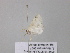  ( - BC ZSM Lep 39492)  @12 [ ] CreativeCommons - Attribution Non-Commercial Share-Alike (2011) Axel Hausmann/Bavarian State Collection of Zoology (ZSM) SNSB, Zoologische Staatssammlung Muenchen