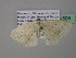  ( - BC ZSM Lep 39508)  @13 [ ] CreativeCommons - Attribution Non-Commercial Share-Alike (2011) Axel Hausmann/Bavarian State Collection of Zoology (ZSM) SNSB, Zoologische Staatssammlung Muenchen