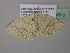  ( - BC ZSM Lep 39510)  @12 [ ] CreativeCommons - Attribution Non-Commercial Share-Alike (2011) Axel Hausmann/Bavarian State Collection of Zoology (ZSM) SNSB, Zoologische Staatssammlung Muenchen