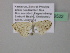  ( - BC ZSM Lep 39522)  @13 [ ] CreativeCommons - Attribution Non-Commercial Share-Alike (2011) Axel Hausmann/Bavarian State Collection of Zoology (ZSM) SNSB, Zoologische Staatssammlung Muenchen