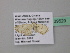  ( - BC ZSM Lep 39529)  @12 [ ] CreativeCommons - Attribution Non-Commercial Share-Alike (2011) Axel Hausmann/Bavarian State Collection of Zoology (ZSM) SNSB, Zoologische Staatssammlung Muenchen