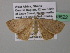  ( - BC ZSM Lep 39622)  @13 [ ] CreativeCommons - Attribution Non-Commercial Share-Alike (2011) Axel Hausmann/Bavarian State Collection of Zoology (ZSM) SNSB, Zoologische Staatssammlung Muenchen