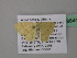  (Scopula AH48CaGh - BC ZSM Lep 39644)  @13 [ ] CreativeCommons - Attribution Non-Commercial Share-Alike (2011) Axel Hausmann/Bavarian State Collection of Zoology (ZSM) SNSB, Zoologische Staatssammlung Muenchen