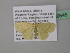  ( - BC ZSM Lep 39645)  @13 [ ] CreativeCommons - Attribution Non-Commercial Share-Alike (2011) Axel Hausmann/Bavarian State Collection of Zoology (ZSM) SNSB, Zoologische Staatssammlung Muenchen
