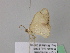  ( - BC ZSM Lep 39746)  @12 [ ] CreativeCommons - Attribution Non-Commercial Share-Alike (2011) Axel Hausmann/Bavarian State Collection of Zoology (ZSM) SNSB, Zoologische Staatssammlung Muenchen