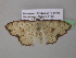 ( - BC ZSM Lep 39759)  @12 [ ] CreativeCommons - Attribution Non-Commercial Share-Alike (2011) Axel Hausmann/Bavarian State Collection of Zoology (ZSM) SNSB, Zoologische Staatssammlung Muenchen