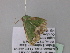  ( - BC ZSM Lep 40535)  @12 [ ] CreativeCommons - Attribution Non-Commercial Share-Alike (2011) Axel Hausmann/Bavarian State Collection of Zoology (ZSM) SNSB, Zoologische Staatssammlung Muenchen