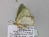  ( - BC ZSM Lep 40561)  @12 [ ] CreativeCommons - Attribution Non-Commercial Share-Alike (2011) Axel Hausmann/Bavarian State Collection of Zoology (ZSM) SNSB, Zoologische Staatssammlung Muenchen