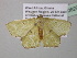  ( - BC ZSM Lep 40629)  @13 [ ] CreativeCommons - Attribution Non-Commercial Share-Alike (2011) Axel Hausmann/Bavarian State Collection of Zoology (ZSM) SNSB, Zoologische Staatssammlung Muenchen