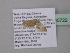  (Idaea AH03GhCa - BC ZSM Lep 40722)  @12 [ ] CreativeCommons - Attribution Non-Commercial Share-Alike (2011) Axel Hausmann/Bavarian State Collection of Zoology (ZSM) SNSB, Zoologische Staatssammlung Muenchen