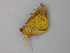  ( - BC ZSM Lep 49112)  @12 [ ] CreativeCommons - Attribution Non-Commercial Share-Alike (2011) Axel Hausmann/Bavarian State Collection of Zoology (ZSM) SNSB, Zoologische Staatssammlung Muenchen