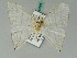  ( - BC ZSM Lep 43394)  @13 [ ] CreativeCommons - Attribution Non-Commercial Share-Alike (2010) Axel Hausmann SNSB, Zoologische Staatssammlung Muenchen