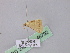  ( - BC ZSM Lep 46792)  @12 [ ] CreativeCommons - Attribution Non-Commercial Share-Alike (2010) Axel Hausmann/Bavarian State Collection of Zoology (ZSM) SNSB, Zoologische Staatssammlung Muenchen