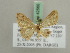  ( - BC ZSM Lep 42560)  @11 [ ] CreativeCommons - Attribution Non-Commercial Share-Alike (2011) Axel Hausmann/Bavarian State Collection of Zoology (ZSM) SNSB, Zoologische Staatssammlung Muenchen
