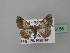  ( - BC ZSM Lep 43156)  @13 [ ] CreativeCommons - Attribution Non-Commercial Share-Alike (2010) Axel Hausmann/Bavarian State Collection of Zoology (ZSM) SNSB, Zoologische Staatssammlung Muenchen