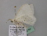  ( - BC ZSM Lep 43196)  @13 [ ] CreativeCommons - Attribution Non-Commercial Share-Alike (2010) Axel Hausmann/Bavarian State Collection of Zoology (ZSM) SNSB, Zoologische Staatssammlung Muenchen