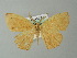  ( - BC ZSM Lep 43206)  @14 [ ] CreativeCommons - Attribution Non-Commercial Share-Alike (2012) Axel Hausmann/Bavarian State Collection of Zoology (ZSM) SNSB, Zoologische Staatssammlung Muenchen