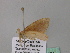  ( - BC ZSM Lep 43254)  @12 [ ] CreativeCommons - Attribution Non-Commercial Share-Alike (2010) Axel Hausmann/Bavarian State Collection of Zoology (ZSM) SNSB, Zoologische Staatssammlung Muenchen