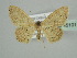  ( - BC ZSM Lep 45101)  @14 [ ] CreativeCommons - Attribution Non-Commercial Share-Alike (2010) Axel Hausmann/Bavarian State Collection of Zoology (ZSM) SNSB, Zoologische Staatssammlung Muenchen