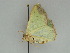  ( - BC ZSM Lep 47390)  @12 [ ] CreativeCommons - Attribution Non-Commercial Share-Alike (2010) Axel Hausmann/Bavarian State Collection of Zoology (ZSM) SNSB, Zoologische Staatssammlung Muenchen