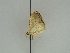  ( - BC ZSM Lep 47407)  @11 [ ] CreativeCommons - Attribution Non-Commercial Share-Alike (2010) Axel Hausmann/Bavarian State Collection of Zoology (ZSM) SNSB, Zoologische Staatssammlung Muenchen