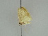  ( - BC ZSM Lep 47413)  @12 [ ] CreativeCommons - Attribution Non-Commercial Share-Alike (2010) Axel Hausmann/Bavarian State Collection of Zoology (ZSM) SNSB, Zoologische Staatssammlung Muenchen
