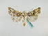  (Plusia lavendula - BC ZSM Lep 48704)  @14 [ ] CreativeCommons - Attribution Non-Commercial Share-Alike (2011) Axel Hausmann/Bavarian State Collection of Zoology (ZSM) SNSB, Zoologische Staatssammlung Muenchen