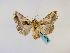  ( - BC ZSM Lep 48742)  @14 [ ] CreativeCommons - Attribution Non-Commercial Share-Alike (2011) Axel Hausmann/Bavarian State Collection of Zoology (ZSM) SNSB, Zoologische Staatssammlung Muenchen