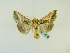  ( - BC ZSM Lep 48745)  @14 [ ] CreativeCommons - Attribution Non-Commercial Share-Alike (2011) Axel Hausmann/Bavarian State Collection of Zoology (ZSM) SNSB, Zoologische Staatssammlung Muenchen