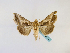  ( - BC ZSM Lep 48747)  @14 [ ] CreativeCommons - Attribution Non-Commercial Share-Alike (2011) Axel Hausmann/Bavarian State Collection of Zoology (ZSM) SNSB, Zoologische Staatssammlung Muenchen