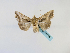  ( - BC ZSM Lep 48748)  @14 [ ] CreativeCommons - Attribution Non-Commercial Share-Alike (2011) Axel Hausmann/Bavarian State Collection of Zoology (ZSM) SNSB, Zoologische Staatssammlung Muenchen