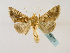  ( - BC ZSM Lep 48755)  @13 [ ] CreativeCommons - Attribution Non-Commercial Share-Alike (2011) Axel Hausmann/Bavarian State Collection of Zoology (ZSM) SNSB, Zoologische Staatssammlung Muenchen