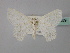  ( - BC ZSM Lep 60159)  @13 [ ] CreativeCommons - Attribution Non-Commercial Share-Alike (2011) Axel Hausmann/Bavarian State Collection of Zoology (ZSM) SNSB, Zoologische Staatssammlung Muenchen