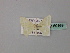  (Mixocera AH02 - BC ZSM Lep 60169)  @11 [ ] CreativeCommons - Attribution Non-Commercial Share-Alike (2011) Axel Hausmann/Bavarian State Collection of Zoology (ZSM) SNSB, Zoologische Staatssammlung Muenchen