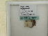  ( - BC ZSM Lep 60416)  @12 [ ] CreativeCommons - Attribution Non-Commercial Share-Alike (2011) Axel Hausmann/Bavarian State Collection of Zoology (ZSM) SNSB, Zoologische Staatssammlung Muenchen