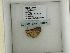  ( - BC ZSM Lep add 0165)  @12 [ ] CreativeCommons - Attribution Non-Commercial Share-Alike (2011) Axel Hausmann/Bavarian State Collection of Zoology (ZSM) SNSB, Zoologische Staatssammlung Muenchen