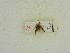  ( - INRGREF 0294)  @12 [ ] Copyright (2011) Yosra Mannai INRGREF