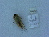  ( - INRGREF add 0020)  @12 [ ] Copyright (2011) Olfa Ezzine INRGREF