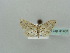 (Scopula AH31 - BC ZSM Lep 41407)  @11 [ ] CreativeCommons - Attribution Non-Commercial Share-Alike (2011) Axel Hausmann/Bavarian State Collection of Zoology (ZSM) SNSB, Zoologische Staatssammlung Muenchen