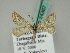  ( - BC ZSM Lep 54367)  @11 [ ] CreativeCommons - Attribution Non-Commercial Share-Alike (2011) Axel Hausmann/Bavarian State Collection of Zoology (ZSM) SNSB, Zoologische Staatssammlung Muenchen