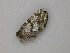  ( - BC ZSM Lep add 0108)  @12 [ ] CreativeCommons - Attribution Non-Commercial Share-Alike (2011) Axel Hausmann/Bavarian State Collection of Zoology (ZSM) SNSB, Zoologische Staatssammlung Muenchen