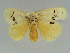  ( - BC ZSM Lep 47466)  @12 [ ] CreativeCommons - Attribution Non-Commercial Share-Alike (2011) Axel Hausmann/Bavarian State Collection of Zoology (ZSM) SNSB, Zoologische Staatssammlung Muenchen