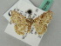  (Idaea AH01FG - BC ZSM Lep 52786)  @11 [ ] CreativeCommons - Attribution Non-Commercial Share-Alike (2011) Axel Hausmann/Bavarian State Collection of Zoology (ZSM) SNSB, Zoologische Staatssammlung Muenchen